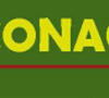 NEWS TITLE